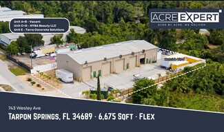 Plus de détails pour 743 Wesley Ave, Tarpon Springs, FL - Industriel à vendre
