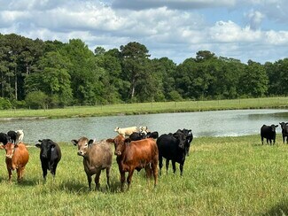 More details for Millside Road, Laurel Hill, FL - Land for Sale