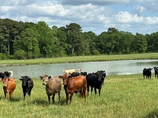Plus de détails pour Millside Road, Laurel Hill, FL - Terrain à vendre
