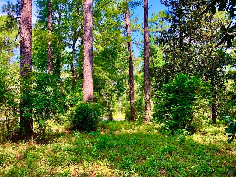 0 Somerset Drive, Roxboro, NC à vendre - Photo du bâtiment - Image 2 de 11