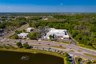 8725 W Linebaugh Ave, Tampa, FL - Aerial map view