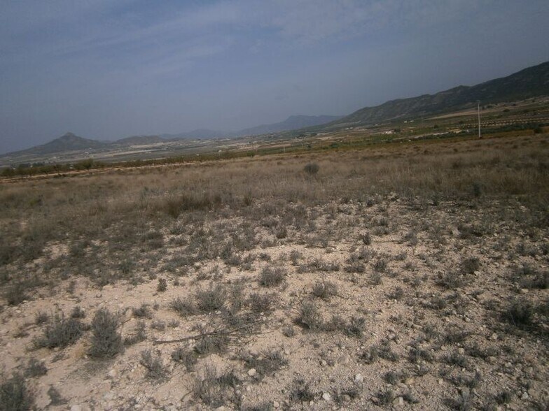 Terrain dans Salinas, Alicante à vendre - Plan de site - Image 3 de 6