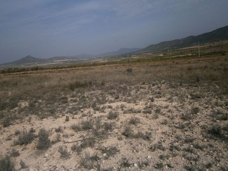 Land in Salinas, Alicante for sale - Site Plan - Image 3 of 6