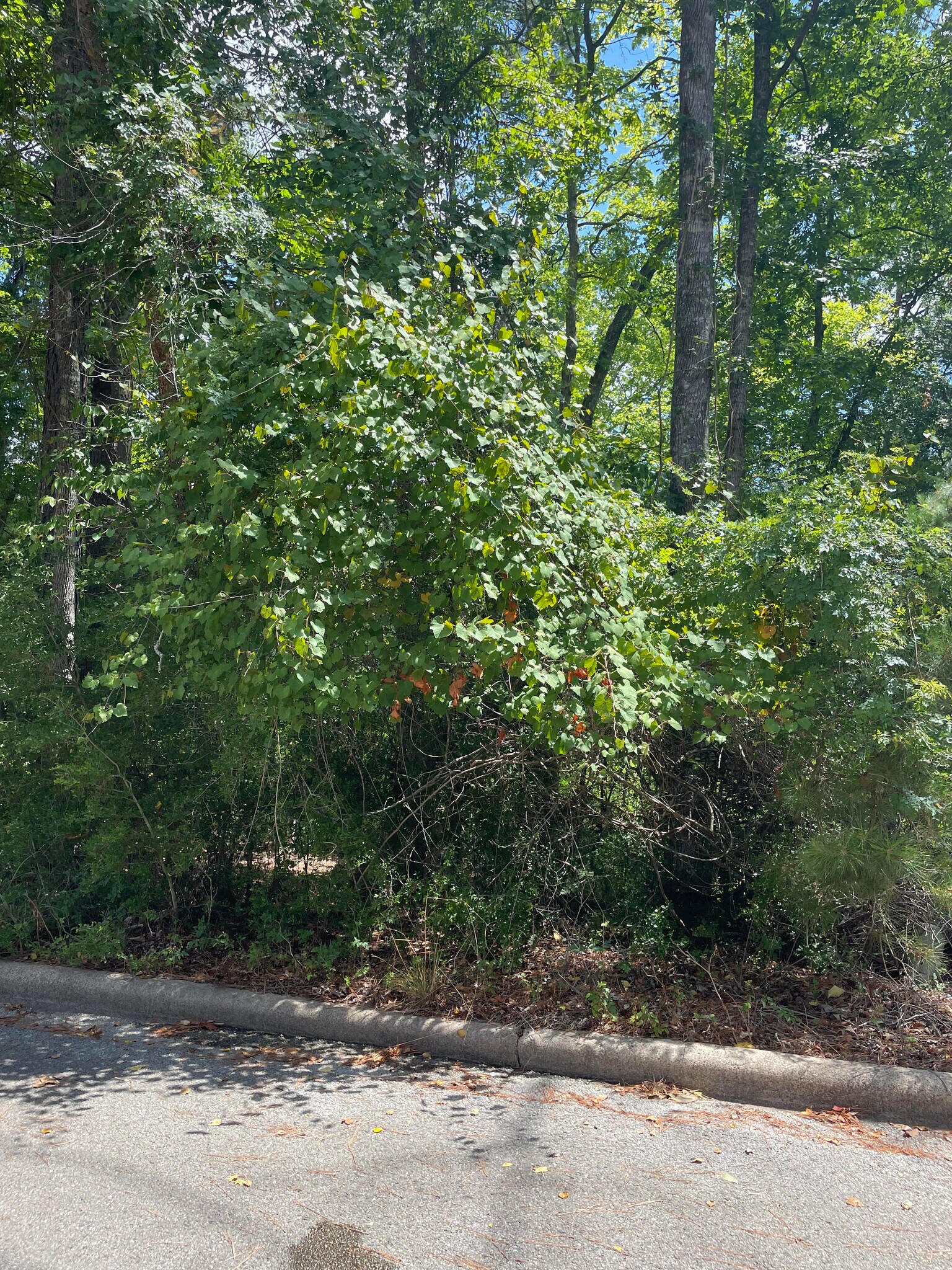 2235 Azalea Circle, Huntsville, TX for sale Primary Photo- Image 1 of 1