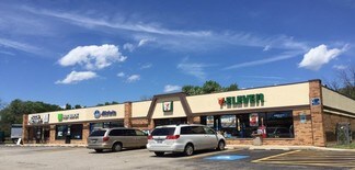 Plus de détails pour 1110-1150 Rand Rd, Lake Zurich, IL - Commerce de détail à louer