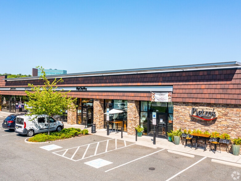210-236 N Radnor Chester Rd, Radnor, PA for lease - Primary Photo - Image 2 of 16