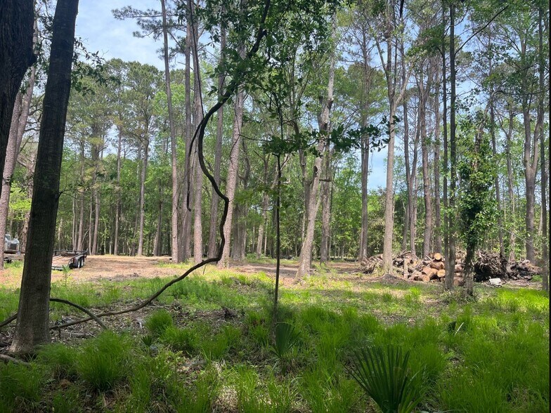 0 Sol Farm Rd, Johns Island, SC à vendre - Photo principale - Image 1 de 2