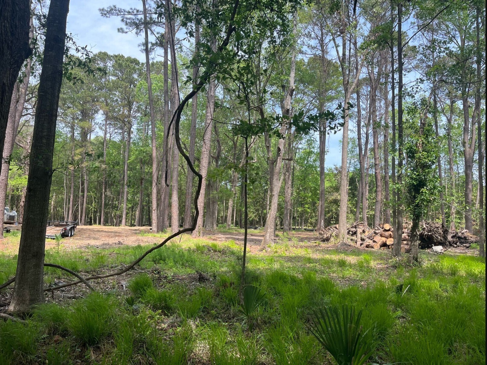 0 Sol Farm Rd, Johns Island, SC à vendre Photo principale- Image 1 de 3