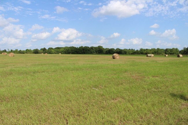 Plus de détails pour 20720 Cochran Rd, Prairie View, TX - Terrain à vendre