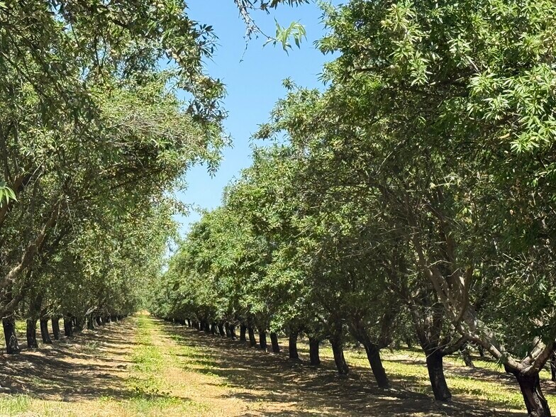 W Sunset Dr, Livingston, CA for sale - Other - Image 1 of 12