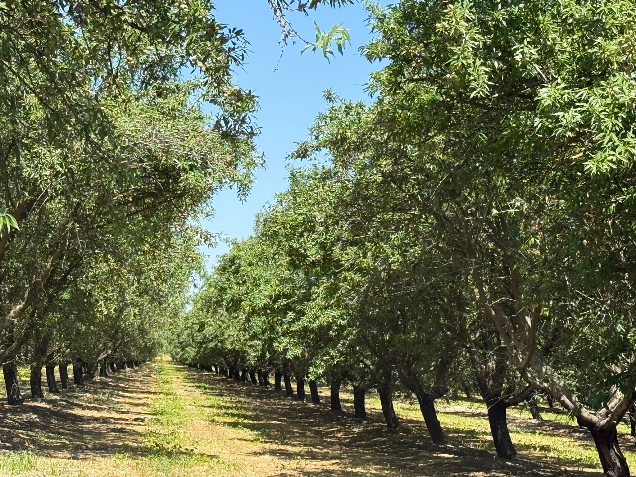 W Sunset Dr, Livingston, CA à vendre Autre- Image 1 de 13