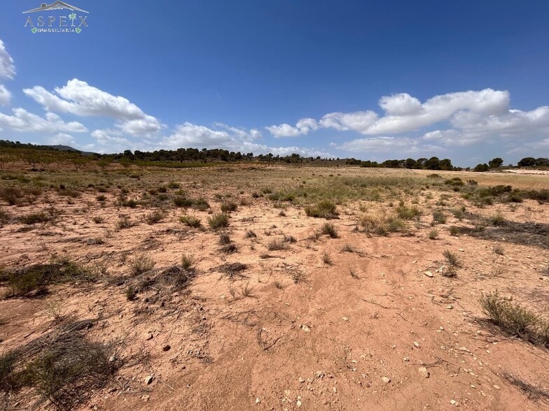 Land in Jumilla, Murcia for sale - Site Plan - Image 1 of 5