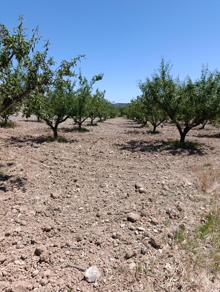 Land in Cehegín, Murcia for sale - Building Photo - Image 3 of 5