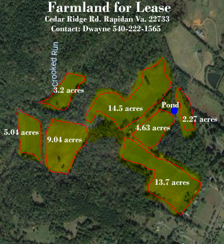 More details for 24134 Cedar Ridge Rd, Rapidan, VA - Land for Lease