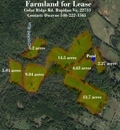 24134 Cedar Ridge Rd, Rapidan, VA à louer Aérien- Image 1 de 2
