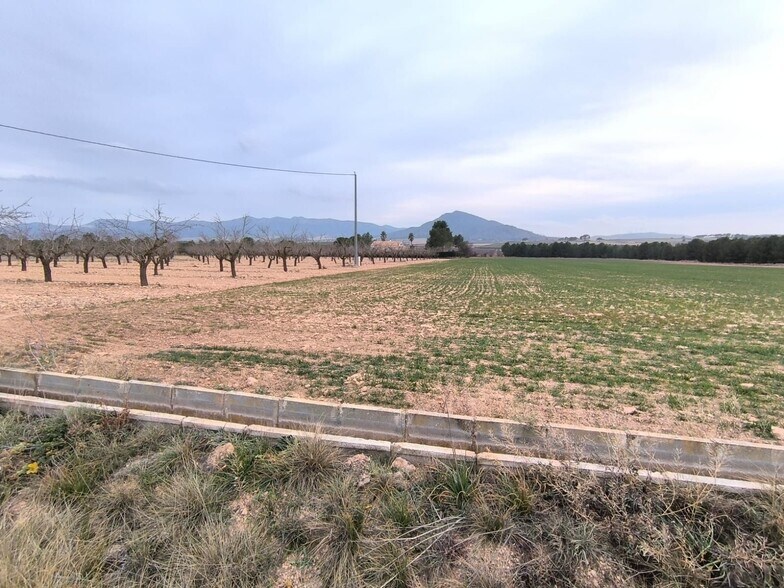 Terrain dans San José, Yecla, Ayuntamiento, MURCIA à vendre - Photo du bâtiment - Image 2 de 4