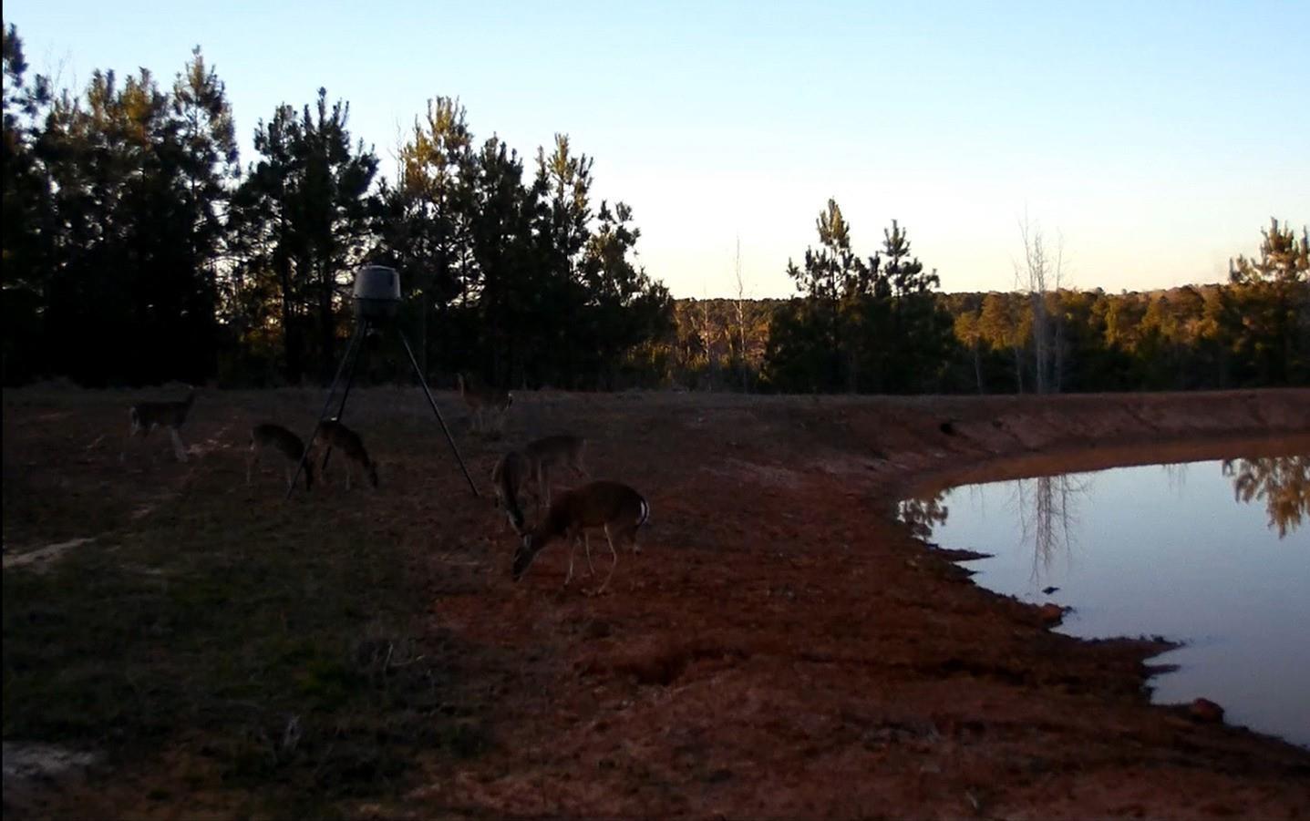 4635 Co 1685 rd, Grapeland, TX for sale Building Photo- Image 1 of 2