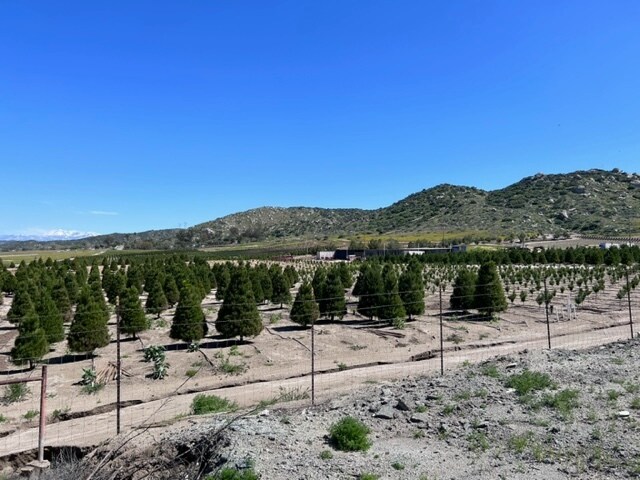 Terrain dans Nuevo, CA à vendre - Photo principale - Image 2 de 35