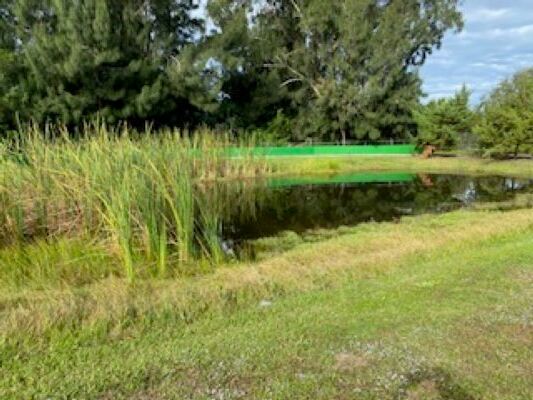 3525 N Courtenay Pky, Merritt Island, FL à louer - Photo du bâtiment - Image 2 de 4