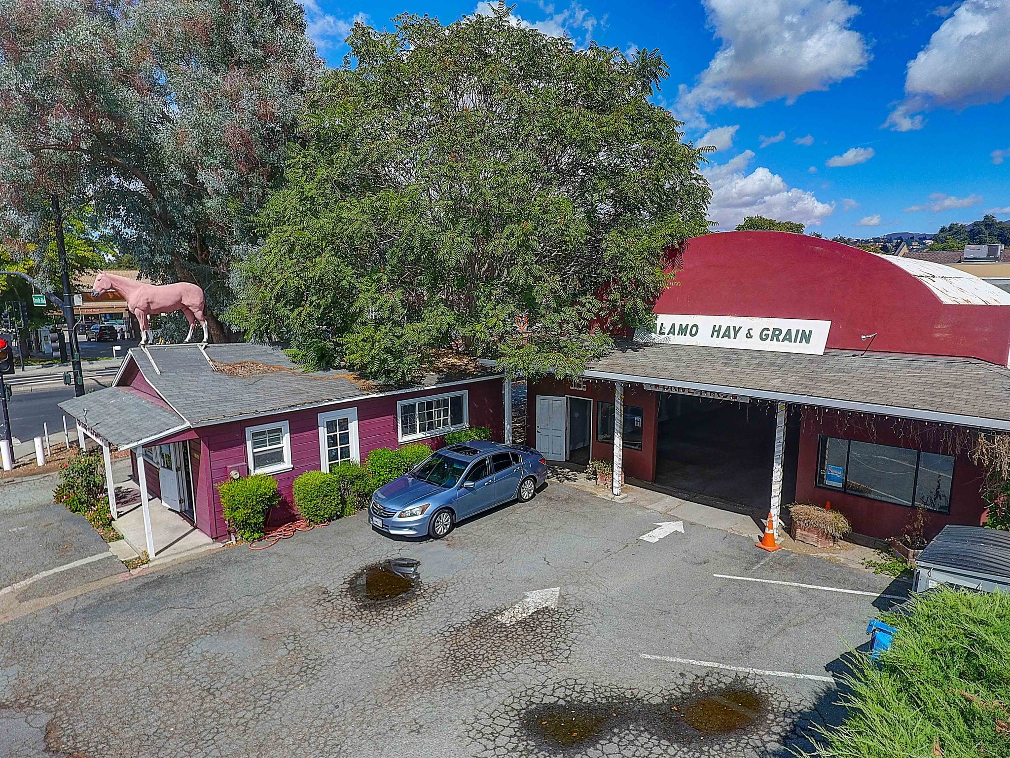 3196 Danville Blvd, Alamo, CA for sale Primary Photo- Image 1 of 14