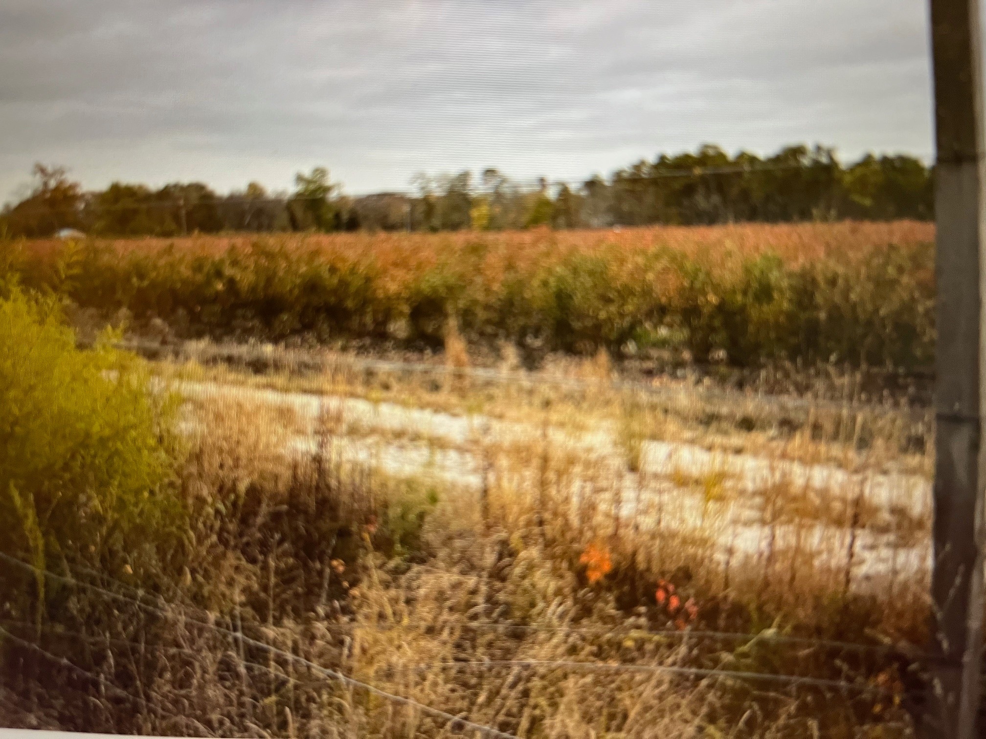 98 Sheep Pen Hill Rd, Pemberton, NJ for sale Primary Photo- Image 1 of 2