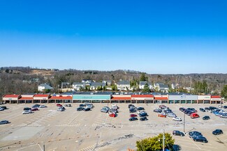 Plus de détails pour 1701 Duncan Ave, Allison Park, PA - Commerce de détail à louer