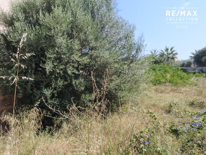 Land in Santanyí, Islas Baleares for sale - Primary Photo - Image 2 of 4