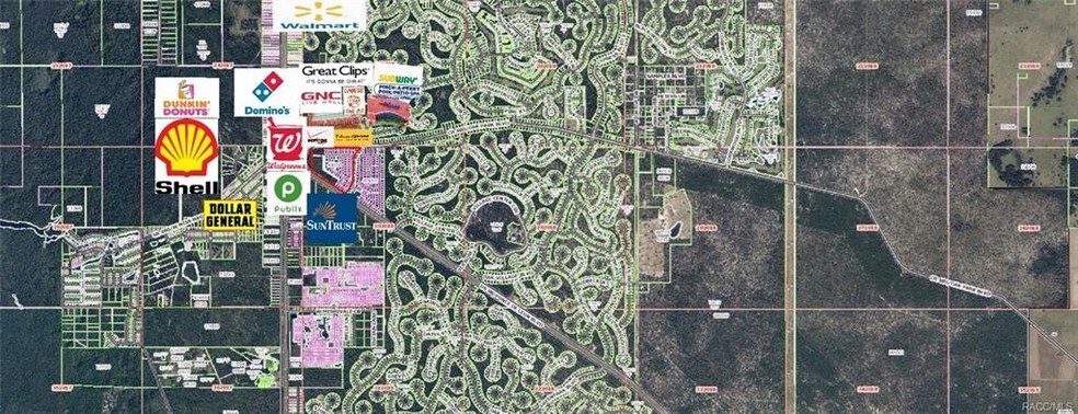 6945 W Ponce De Leon Blvd, Homosassa, FL à vendre - Photo principale - Image 1 de 12