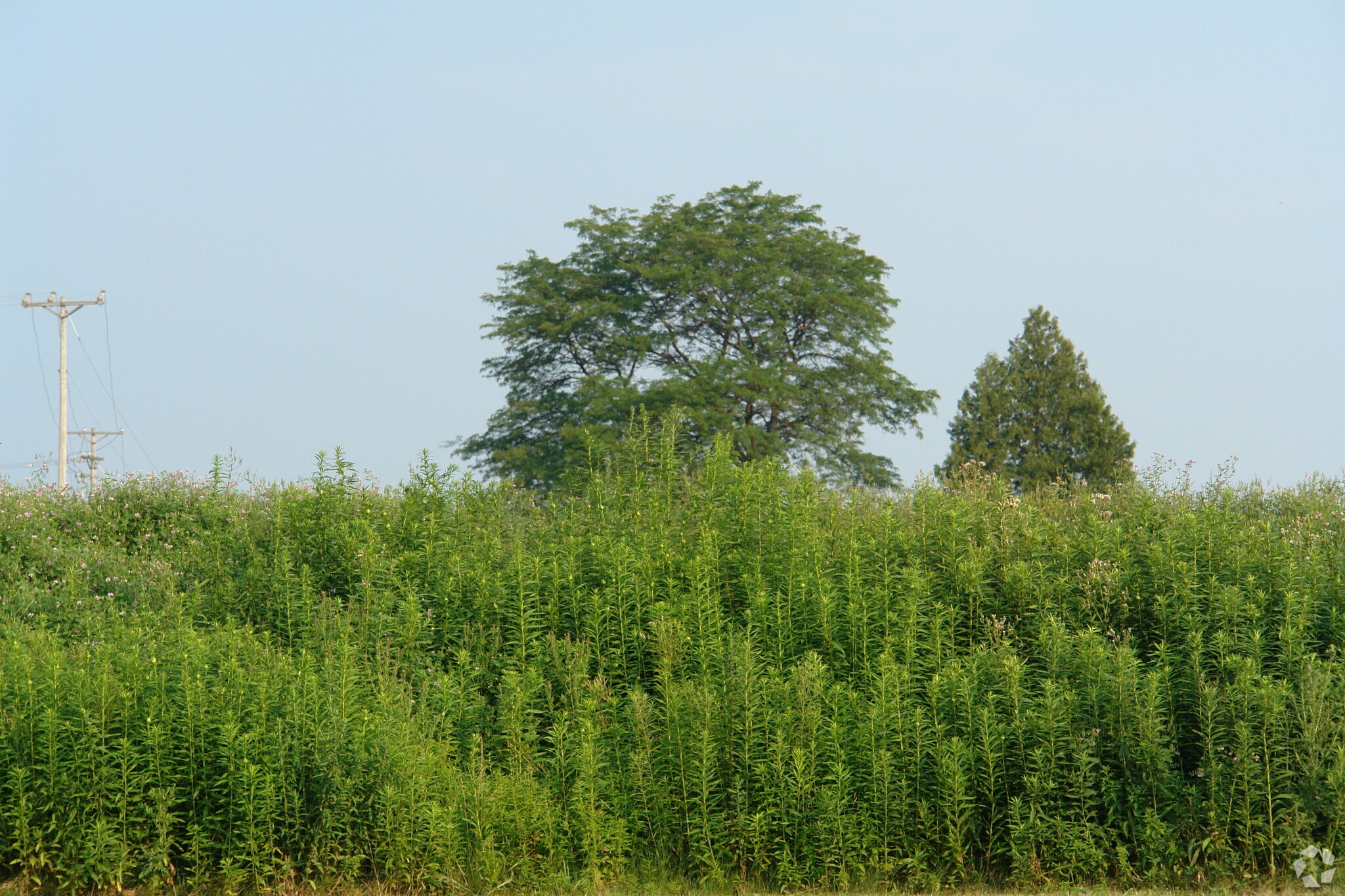 5816 Wattsburg Rd, Erie, PA for sale Primary Photo- Image 1 of 6