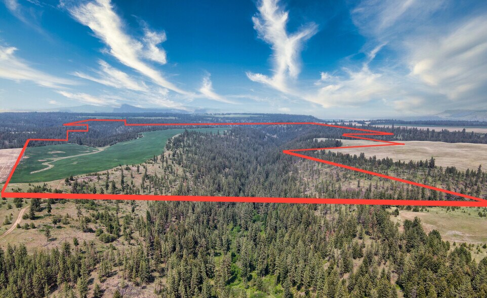 45XXX Devore Rd, Davenport, WA à vendre - Aérien - Image 3 de 48