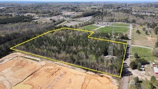Plus de détails pour 125 Lando Cain Rd, Hartselle, AL - Terrain à vendre