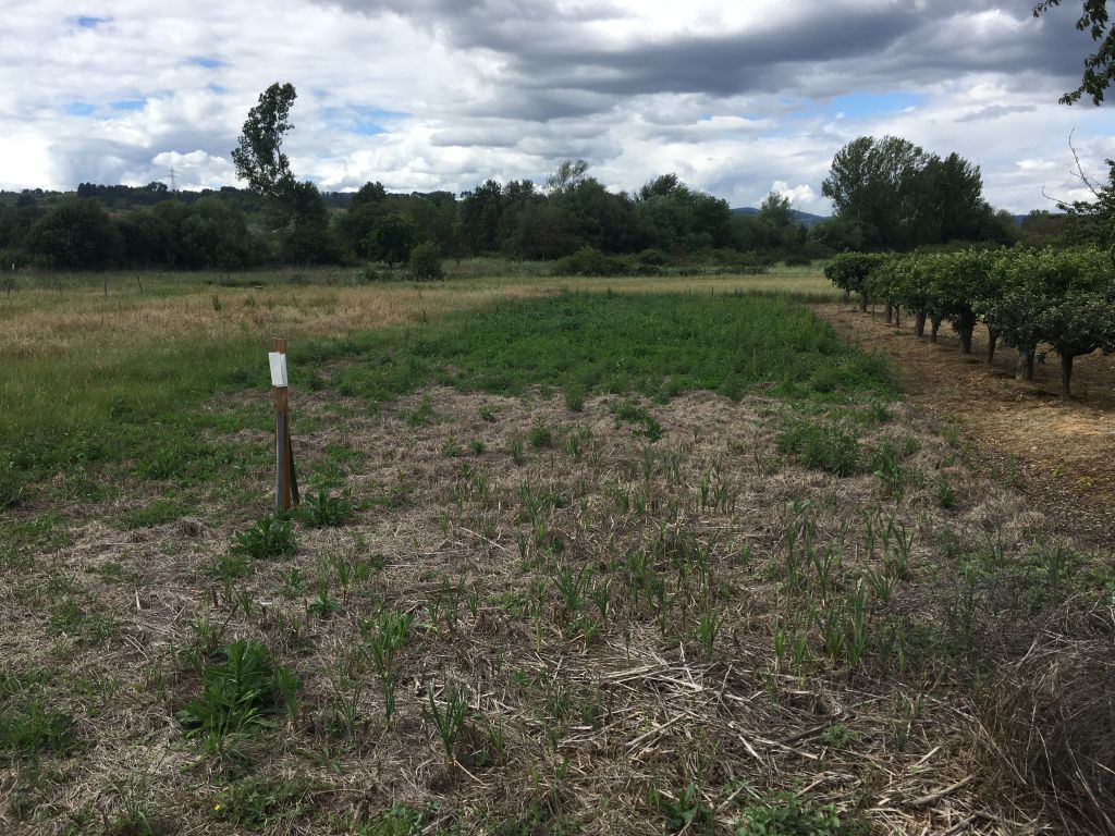 Calle General Queipo de Llano, Camponaraya, León à vendre Plan de site- Image 1 de 4