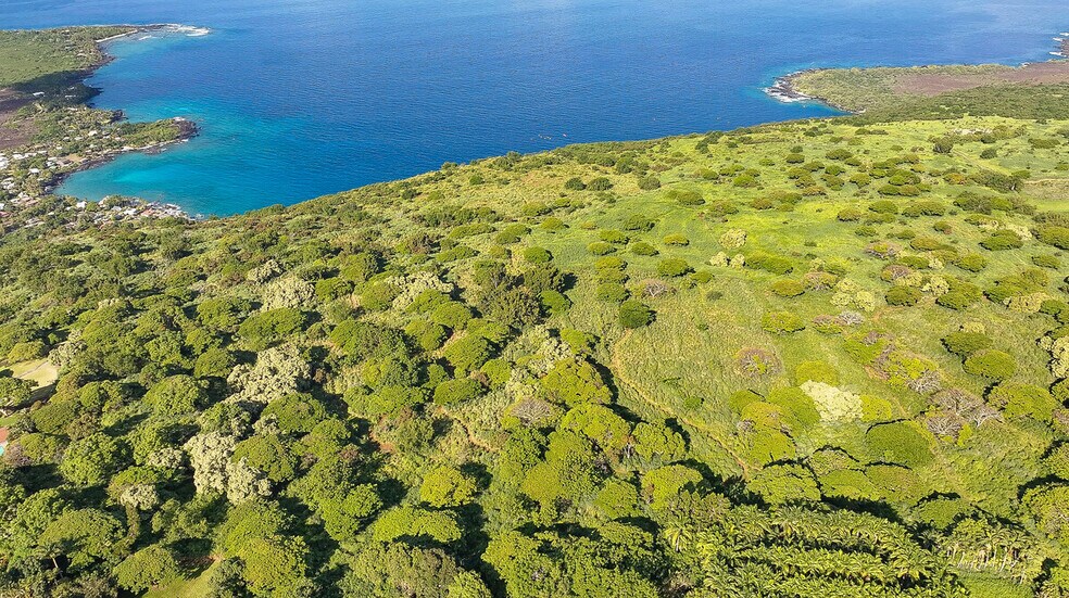 82-6159 Napoopoo Rd, Captain Cook, HI à vendre - Aérien - Image 2 de 10