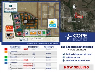 Plus de détails pour E.Monte Carlo & Longneck Rd, Princeton, TX - Terrain à vendre