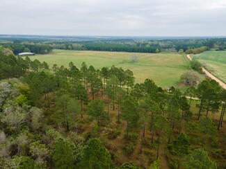 Plus de détails pour 649 Okapilco Church Rd, Dixie, GA - Terrain à vendre