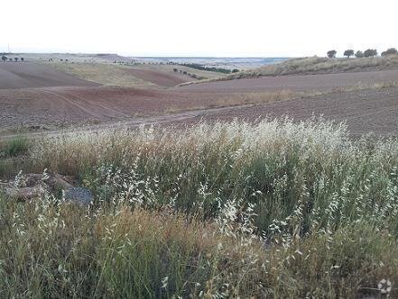 Land in Tórtola de Henares, Guadalajara for sale Primary Photo- Image 1 of 2