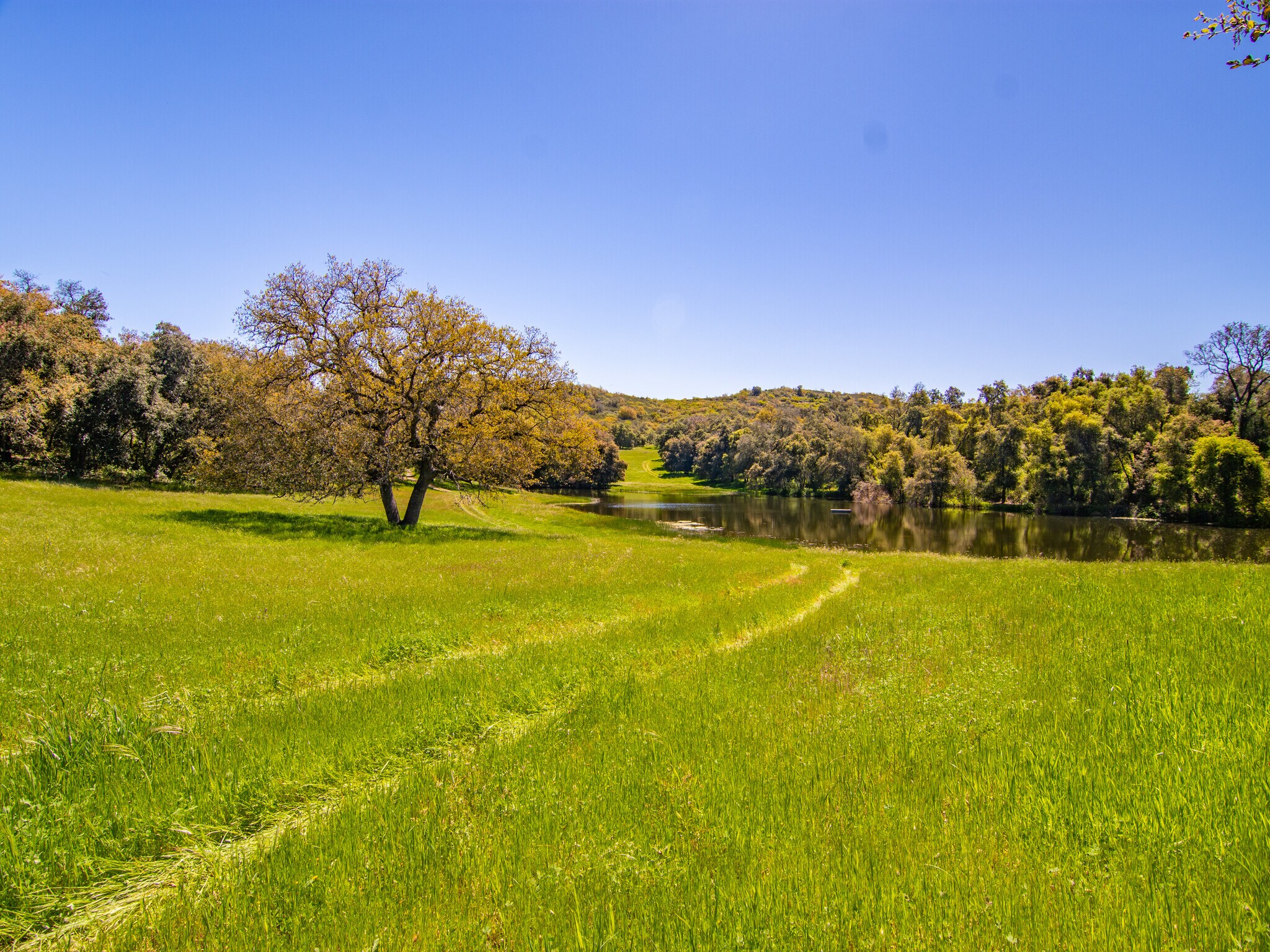 00000 Mesa Grande Road, Santa Ysabel, CA for sale Building Photo- Image 1 of 43