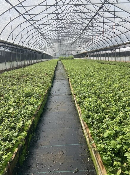 9555 Gast Rd, Bridgman, MI à vendre - Photo du bâtiment - Image 3 de 11