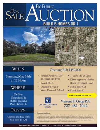Plus de détails pour Tampa rd. & Hidden Brook Dr, Palm Harbor, FL - Terrain à vendre