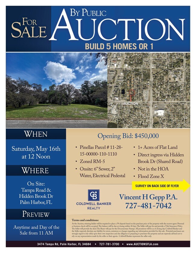 Plus de détails pour Tampa rd. & Hidden Brook Dr, Palm Harbor, FL - Terrain à vendre