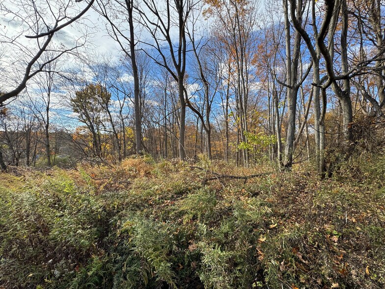 Silver Stream Rd Rd, New Windsor Township, NY à vendre - Photo du bâtiment - Image 3 de 10