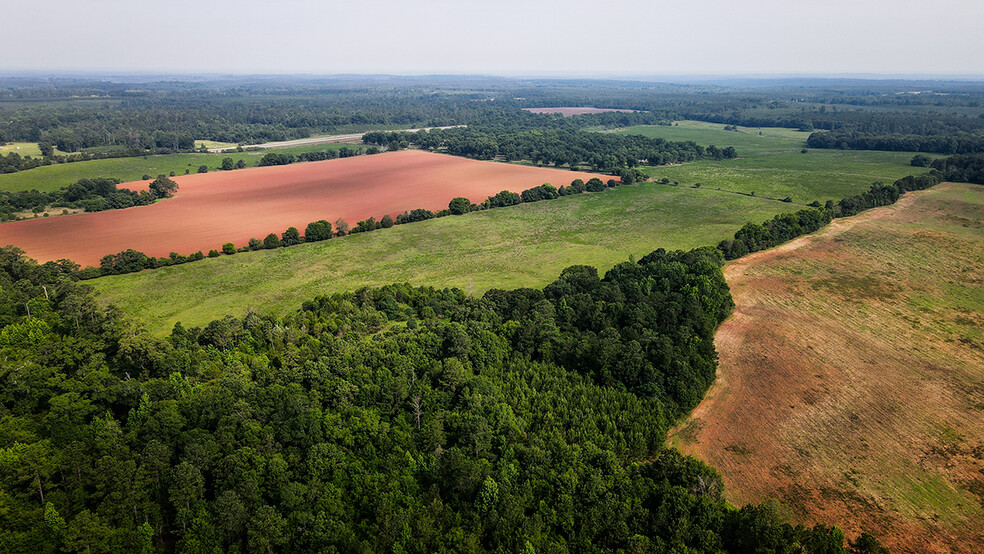 Land in Cuthbert, GA for sale - Aerial - Image 1 of 1