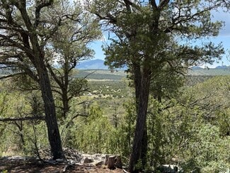 Plus de détails pour 44 Forest 321 Rd, Estancia, NM - Terrain à vendre