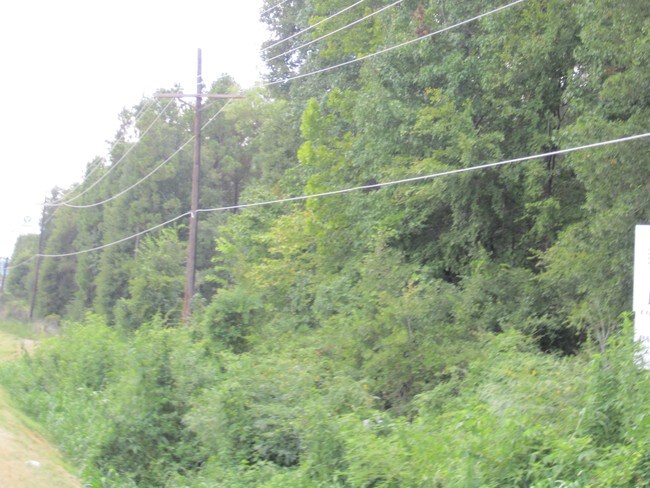 Plus de détails pour 0 Highway 59, Splendora, TX - Terrain à vendre