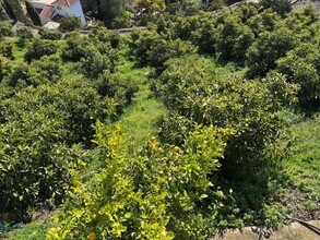 Cómpeta, MAL - AÉRIEN Vue de la carte - Image1