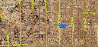 Plus de détails pour 3831 Lookout Ave, Pahrump, NV - Terrain à vendre