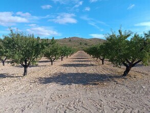 San José, Yecla, Ayuntamiento, MURCIA - AÉRIEN  Vue de la carte