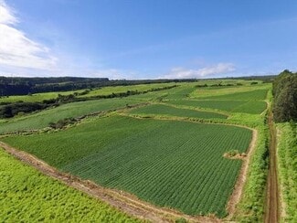 Plus de détails pour 27-5159 Puia Rd, Papaikou, HI - Terrain à louer