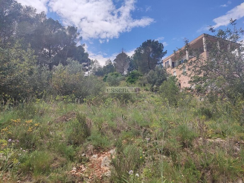 Land in València, Valencia for sale - Primary Photo - Image 2 of 12