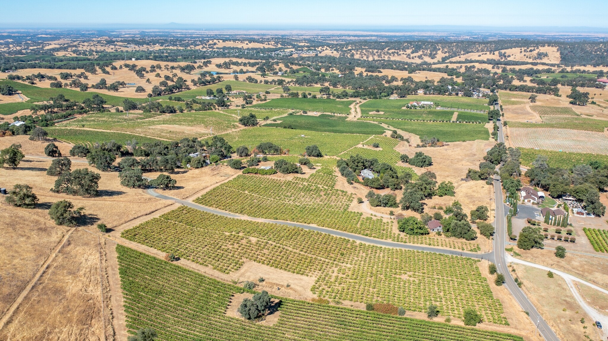 19940 Shenandoah School Rd, Plymouth, CA for sale Primary Photo- Image 1 of 63